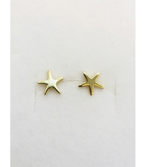Pendientes plata - 2023400/Y