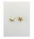 Pendientes plata - 2023400/Y