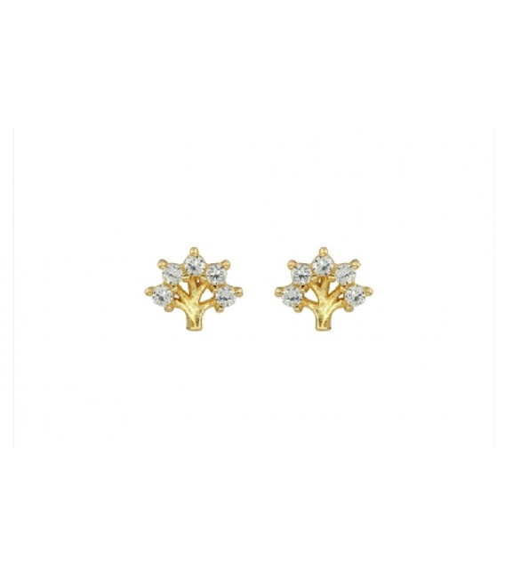 Pendientes plata - 133-PEN-P104L