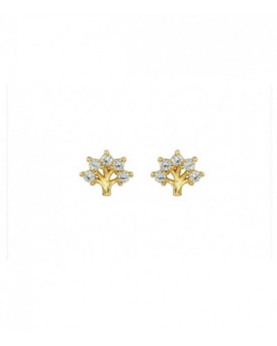 Pendientes plata - 133-PEN-P104L