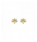 Pendientes plata - 133-PEN-P104L