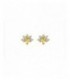 Pendientes plata - 133-PEN-P104L