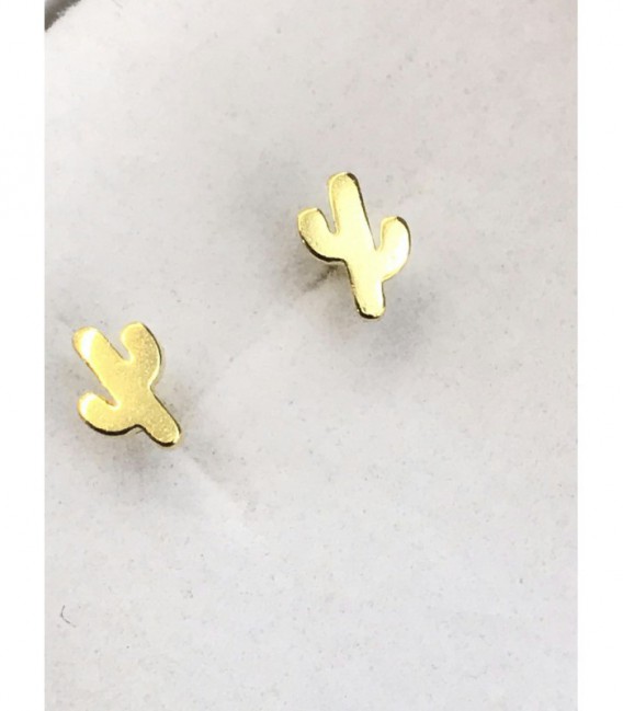 Pendientes de plata - 133-PEN-P101F