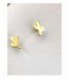Pendientes de plata - 133-PEN-P101F