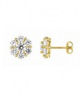 Pendientes chapados en oro - S10.25108