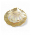 Concha bautizo - W7419CH