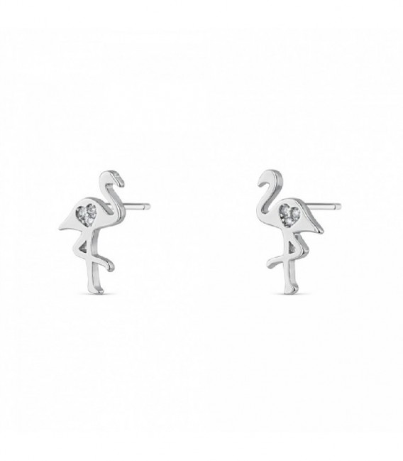 Pendientes plata - 9112413