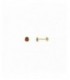 Pendientes plata - 173A0097