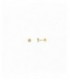 Pendientes plata - 173A0121