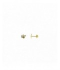 Pendientes plata - 173A0109