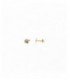 Pendientes plata - 173A0109