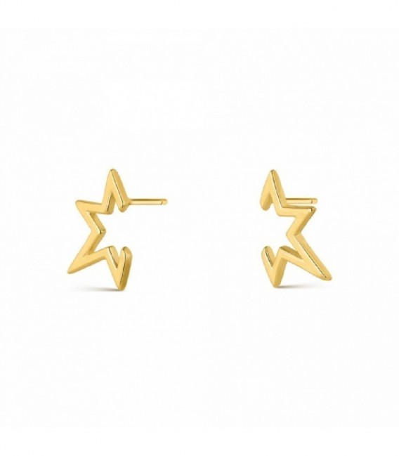Pendientes plata - 9112987