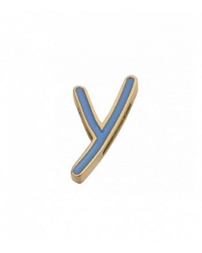 Charm Viceroy - 1487M01012Y