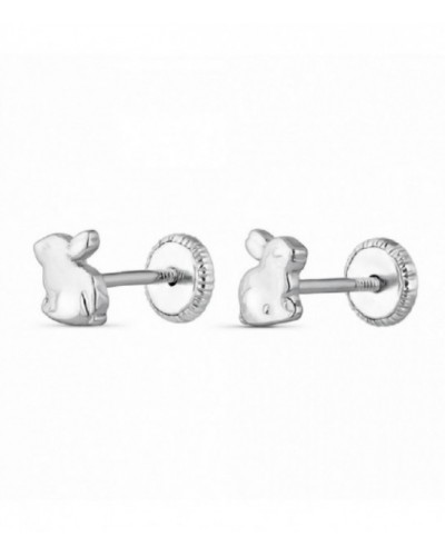 Pendientes de plata - 9104355