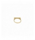 Anillo de plata - 136S0360